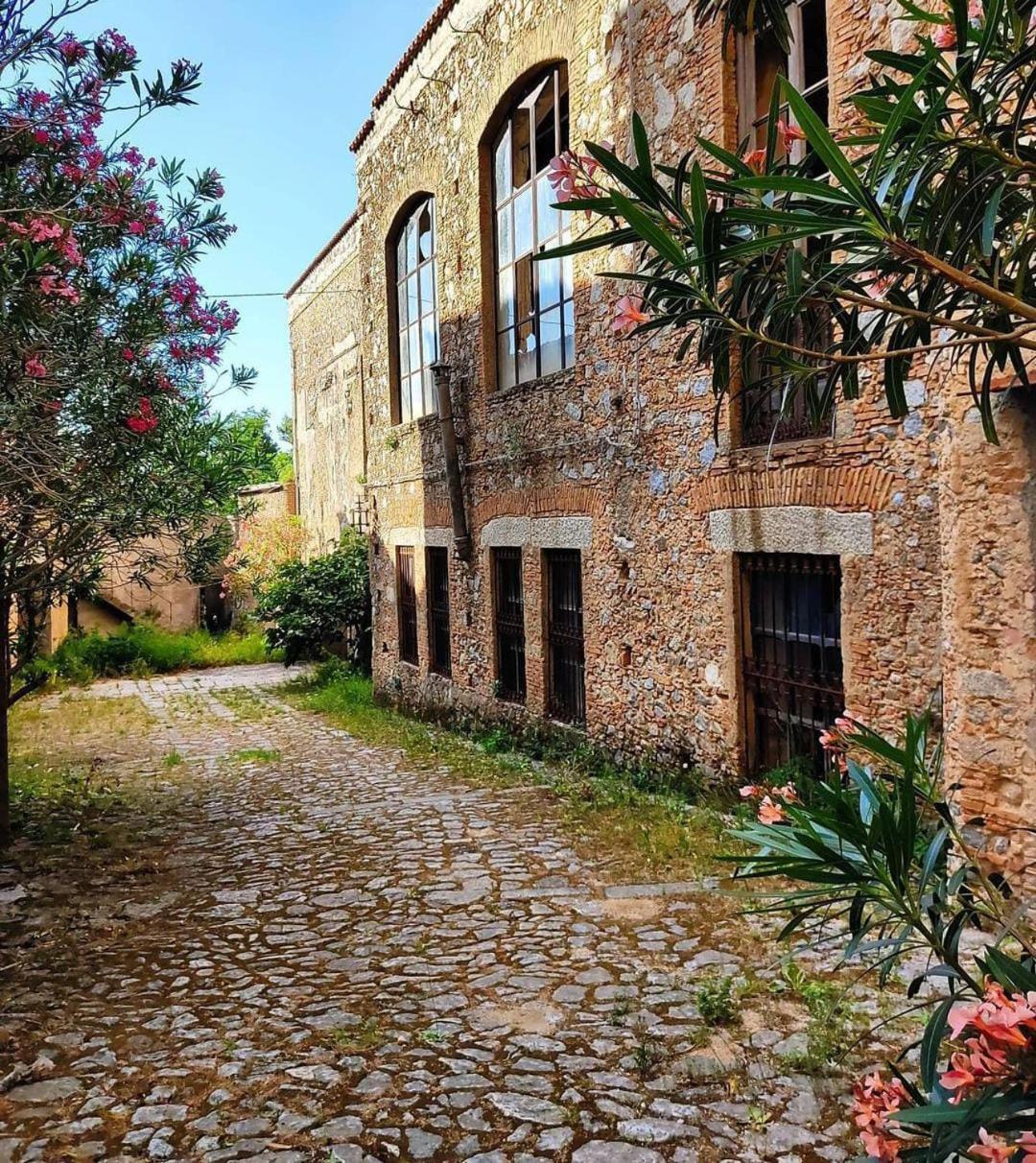 Florence House Santa Caterina dello Ionio Bagian luar foto